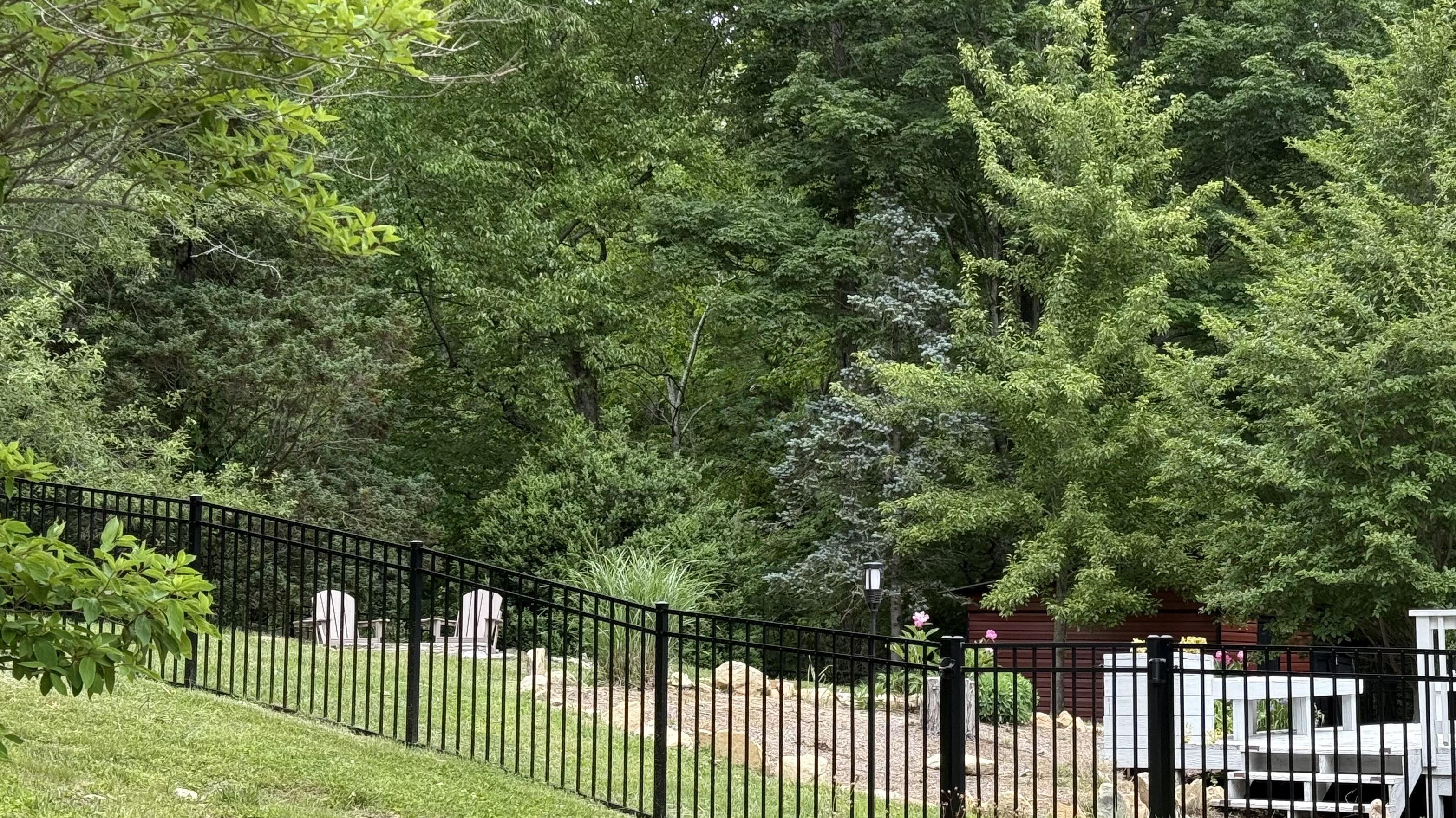 A backyard with a black metal fence, surrounded by lush green trees and plants on a sloping ground.